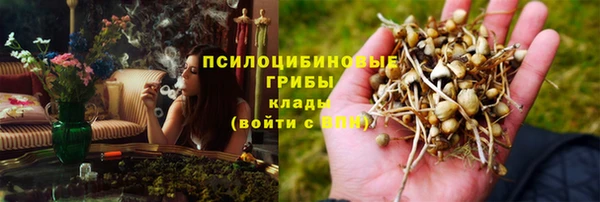 мдпв Семёнов